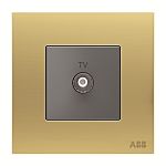 AM30144-MG TV outlet 1G