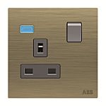 ABB Gold Electrical Socket, 2 Poles, 13A