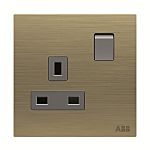 ABB Gold Electrical Socket, 2 Poles, 13A