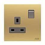 ABB Gold Electrical Socket, 2 Poles, 13A