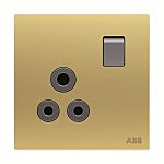 ABB Gold Electrical Socket, 2 Poles, 13A