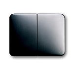 ABB Grey 2 Gang Light Switch Cover