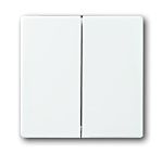 ABB White 2 Gang Light Switch Cover
