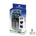 Phoenix Contact Torx Screwdriver Set, 6-Piece, ESD-Safe