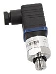 Sensor de presión manométrica RS PRO, 0bar → 10bar, G1/4A ISO 1179-2, 8 a 30 Vdc, para Aire, líquido, aceite mezclado,