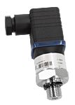 Sensor de presión manométrica RS PRO, 0bar → 16bar, G1/4A ISO 1179-2, 8 a 30 Vdc, para Aire, líquido, aceite mezclado,