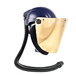 Gold PC Face Shield with Face, Head Guard