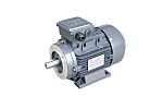 TEC Motors T2A Clockwise AC Motor, 180 W, IE2, 3 Phase, 4 Pole, B34 Foot & Face Mounted Mounting