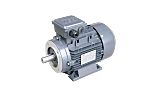 TEC Motors T2A Clockwise AC Motor, 250 W, IE2, 3 Phase, 2 Pole, B34 Foot & Face Mounted Mounting