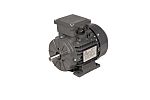 TEC Motors T2A Clockwise AC Motor, 370 W, IE2, 3 Phase, 2 Pole, B3 Foot Mounted Mounting