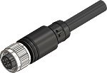 RS PRO Straight Female 4 way M12 to Actuator/Sensor Cable, 3m