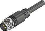 RS PRO Straight Male 5 way M12 to Actuator/Sensor Cable, 3m