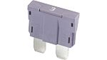 iMaXX 3A Violet Car Fuse, 80V dc