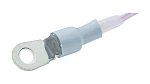 Heraeus Pt100B RTD Temperature Sensor, 8 x 35mm Dia, 25mm Long, 2 Wire, Class B +250°C Max, DIN EN 60751 (for Pt100,