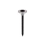 Black Bugle Head Self Tapping Screw