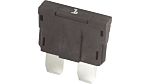 iMaXX 1A Black Blade Car Fuse, 80V