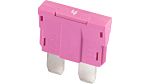 iMaXX 4A Pink Blade Car Fuse, 80V
