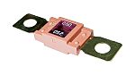 iMaXX 250A Pink Automotive Automotive Fuse, 32V dc With Indicator