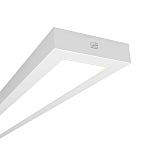 Ansell LED Emergency Bulkhead, Surface Mount, 25 → 40 W