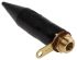 Black Brass Cable Gland, M20 Thread, 11.5mm Min, 16mm Max, IP66