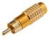 RS PRO Gold Cable Mount RCA Plug, Gold
