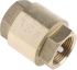 RS PRO Brass Single Check Valve, BSPP 3/4in, 12 bar