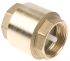 RS PRO Brass Single Check Valve, BSPP 1-1/4in, 12 bar