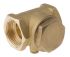 RS PRO Brass Single Check Valve, BSP 1-1/4in, 16 bar