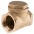 RS PRO Brass Single Check Valve, BSP 1-1/2in, 16 bar