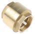 RS PRO Brass Single Check Valve, BSPP 2in, 12 bar