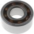 SKF 4203 ATN9 Double Row Deep Groove Ball Bearing- Open Type 17mm I.D, 40mm O.D