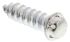 System Zero Zinc Plated Flange Button Steel Tamper Proof Security Screw, No. 6 x 12mm