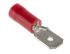 Terminal de lengüeta macho aislado de color Rojo RS PRO de crimpar, 6.35 x 0.8mm, 0.5mm² → 1.5mm², long. 21mm, de Latón