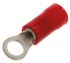 TE Connectivity, PLASTI-GRIP Insulated Ring Terminal, M3.5 Stud Size, 0.26mm² to 1.65mm² Wire Size, Red
