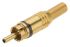 RS PRO Black, Gold Cable Mount RCA Plug, Gold, 5A
