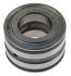 INA SL045005PP 25mm I.D Cylindrical Roller Bearing, 47mm O.D