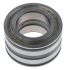 INA SL045007PP 35mm I.D Cylindrical Roller Bearing, 62mm O.D