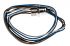 Lumberg Automation Straight Female 4 way M12 to Unterminated Sensor Actuator Cable, 200mm