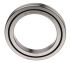 IKO Nippon Thompson Slewing Ring with 100mm Outside Diameter