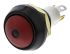 ITW Switches 59 Series Illuminated Miniature Push Button Switch, Momentary, Panel Mount, 13.65mm Cutout, SPST, Green