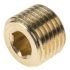 Legris Brass Pipe Fitting, Straight Threaded Plug, Male R 1/4in
