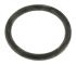 RS PRO Hose Connector Seal 2in ID