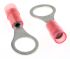RS PRO Insulated Ring Terminal, M8 (5/16) Stud Size, 0.5mm² to 1.5mm² Wire Size, Red