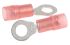 RS PRO Insulated Ring Terminal, M4.5 (#8) Stud Size, 0.5mm² to 1.5mm² Wire Size, Red