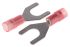 RS PRO Insulated Crimp Spade Connector, 0.5mm² to 1.5mm², 22AWG to 16AWG, M6 (1/4) Stud Size Nylon, Red