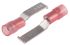 RS PRO Hooked Insulated Crimp Blade Terminal 17.4mm Blade Length, 0.5mm² to 1.5mm², 22AWG to 16AWG, Red