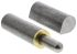 Pinet Steel Bullet Hinge, Weld-on Fixing, 100mm x 42mm