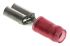 Terminal de lengüeta hembra aislado de color Rojo TE Connectivity PIDG FASTON .197 de crimpar, 5 x 0.8mm, 0.3mm² →