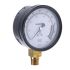 Dial Pressure Gauge 700bar, RS Calibration
