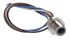 Hirschmann Straight Male M12 to Free End Sensor Actuator Cable, Polyvinyl Chloride PVC, 200mm